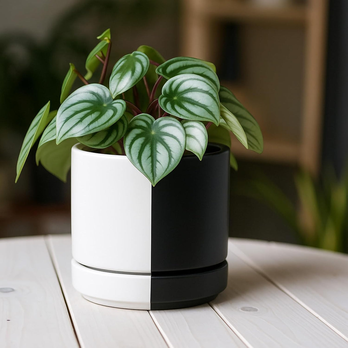 D'vine Dev 4.7 Inch Ceramic Planter Pot with Drainage Hole and Saucer, Indoor Cylinder Round