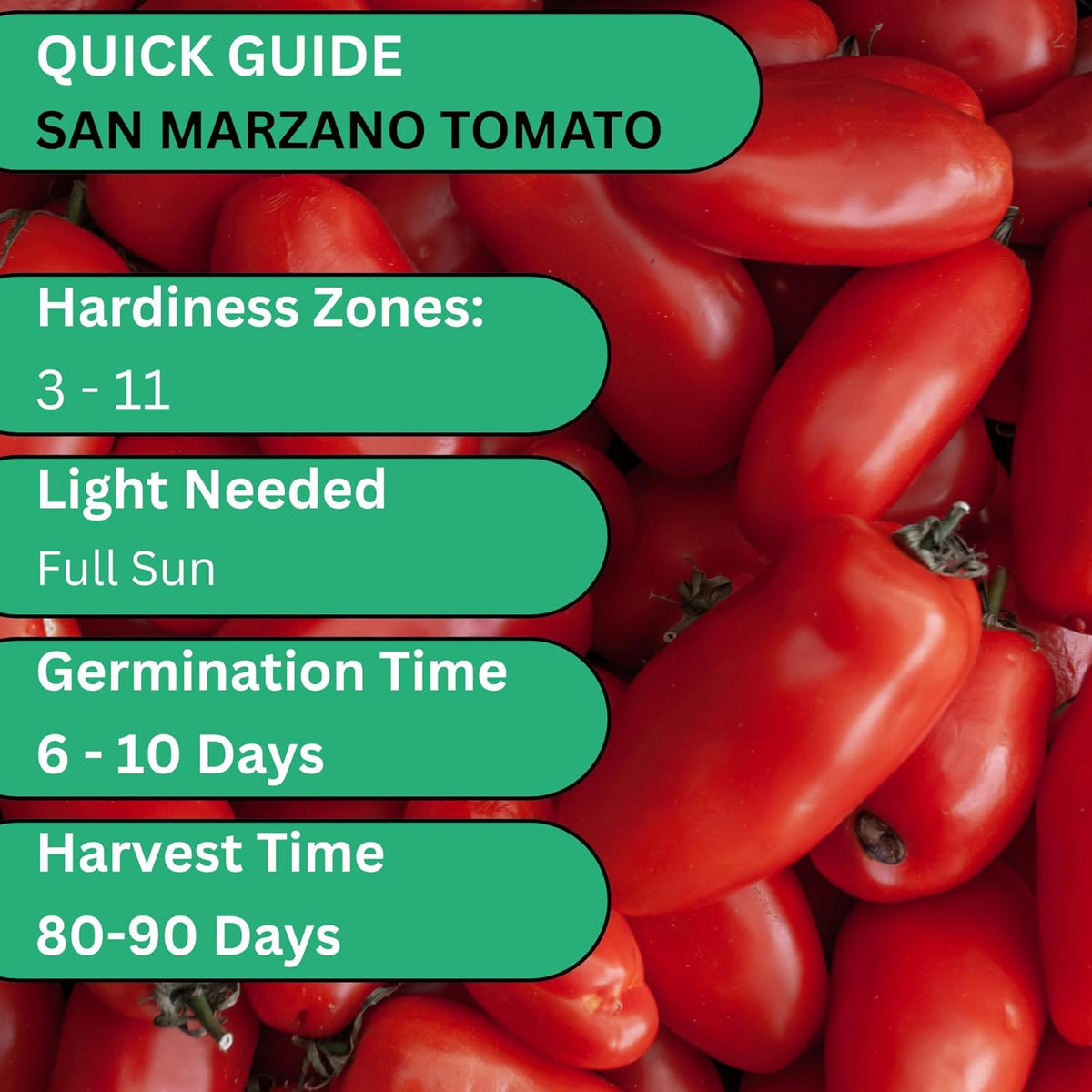 Woods Creek Seeds: San Marzano Tomato Seeds for Planting - Heirloom Tomato Seeds for Planting
