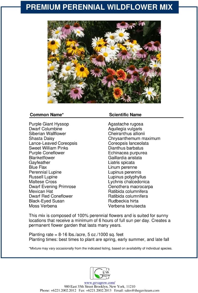 Bulk Wildflower Seed Shaker – Perennial Flower Seeds Mix to Plant Anywhere, by Geva Grow | 20