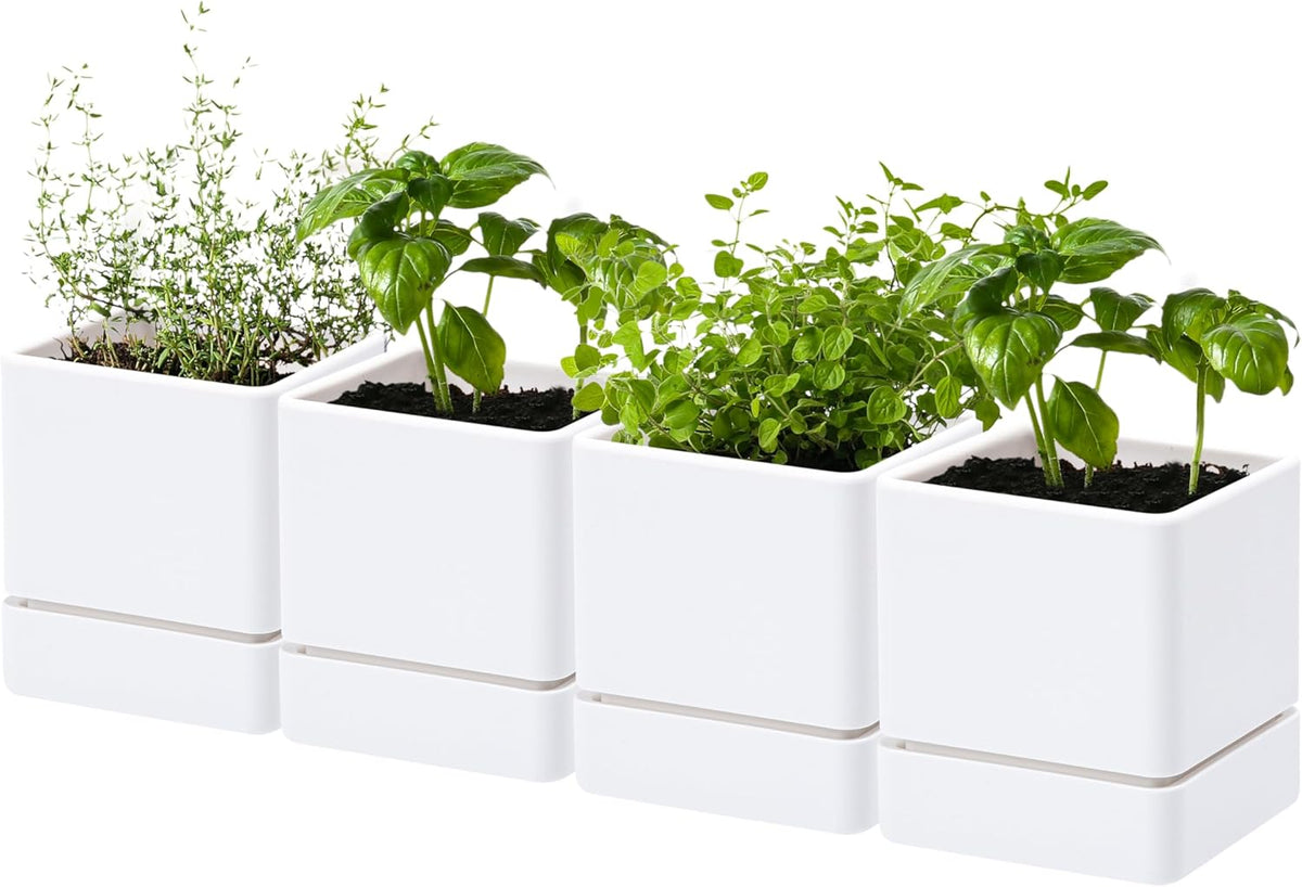 4 Inch Herb Planter Pot, Plastic Planter with Drainage Holes and Saucer, Modern Decorative