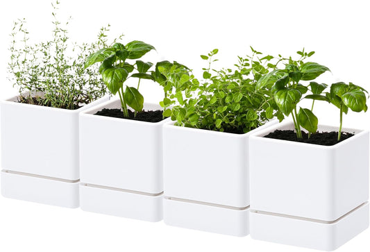 4 Inch Herb Planter Pot, Plastic Planter with Drainage Holes and Saucer, Modern Decorative