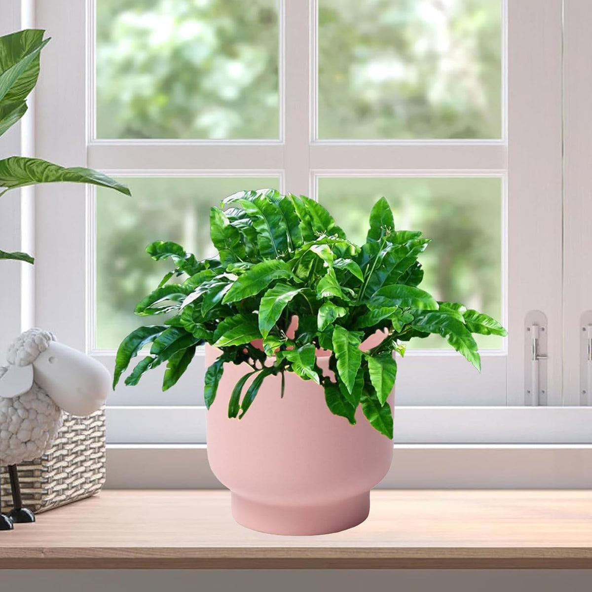 LB Pink Ceramic Plant Pots for Indoor Plants, Succulent Planters Ceramic Plant Pot, Cute Flower
