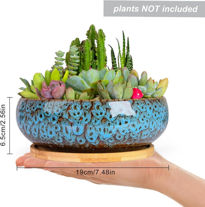 ARTKETTY Succulent Pots - 7.5 Inch Large Plant Pot with Bamboo Tray, Shallow Bonsai Pots with