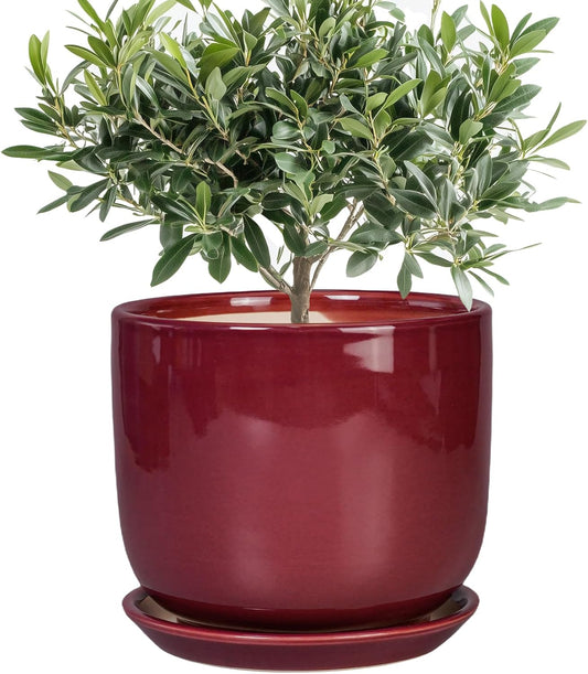 Ceramic Flower Pot for Plants - Cylinder Modern 8 Inch Plant Pot Indoor with Drainage Hole and