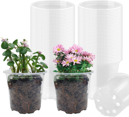 4" Clear Seeding Pots 50-Pack Round for Seeds Starting, Seeds Germination Transparent Nursery Pots