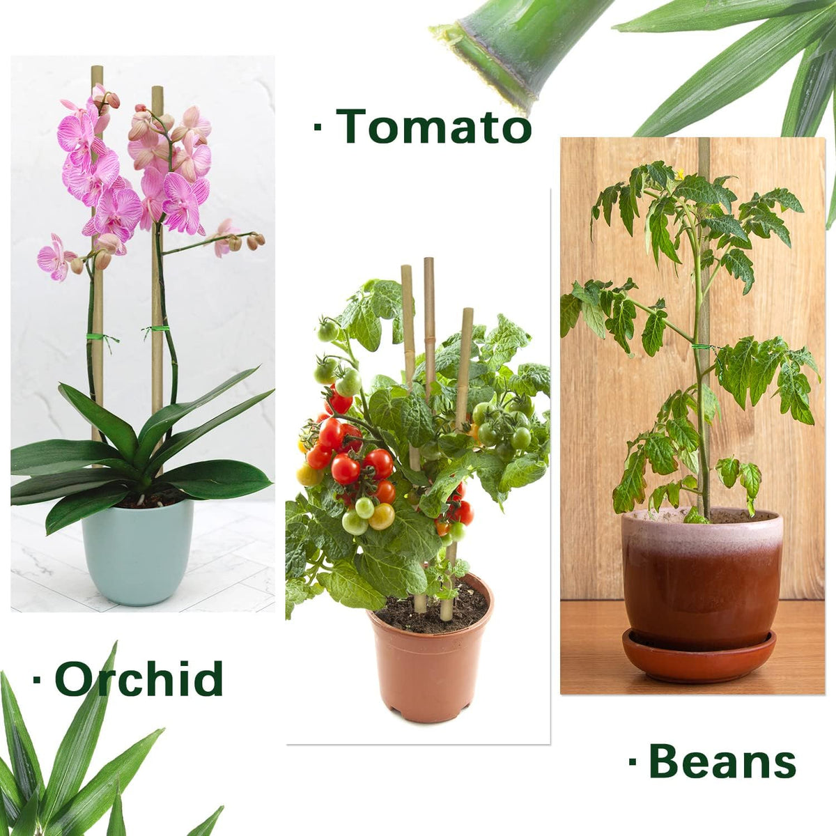 Plant Stakes,12 Inches Natural Garden Bamboo Sticks,BOVITRO 20Pcs Plant Support Stakes for