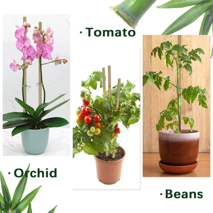 Plant Stakes,12 Inches Natural Garden Bamboo Sticks,BOVITRO 20Pcs Plant Support Stakes for