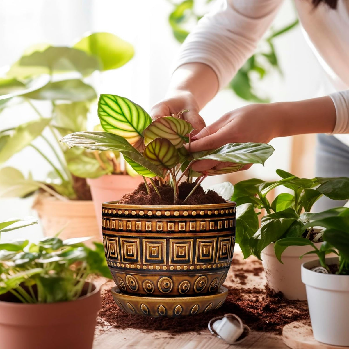 G EPGardening Succulent Pot 5.5 Inch - Ceramic Plant Pot for Indoor Plants Outdoor, Round Boho