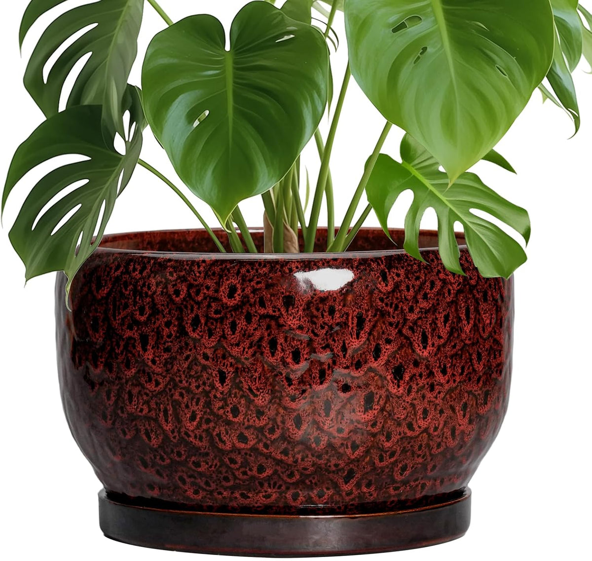 SQOWL Ceramic Flower Pots - 10 Inch Plant Pot Indoor, Ceramic Planter with Drainage Hole and
