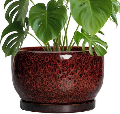SQOWL Ceramic Flower Pots - 10 Inch Plant Pot Indoor, Ceramic Planter with Drainage Hole and