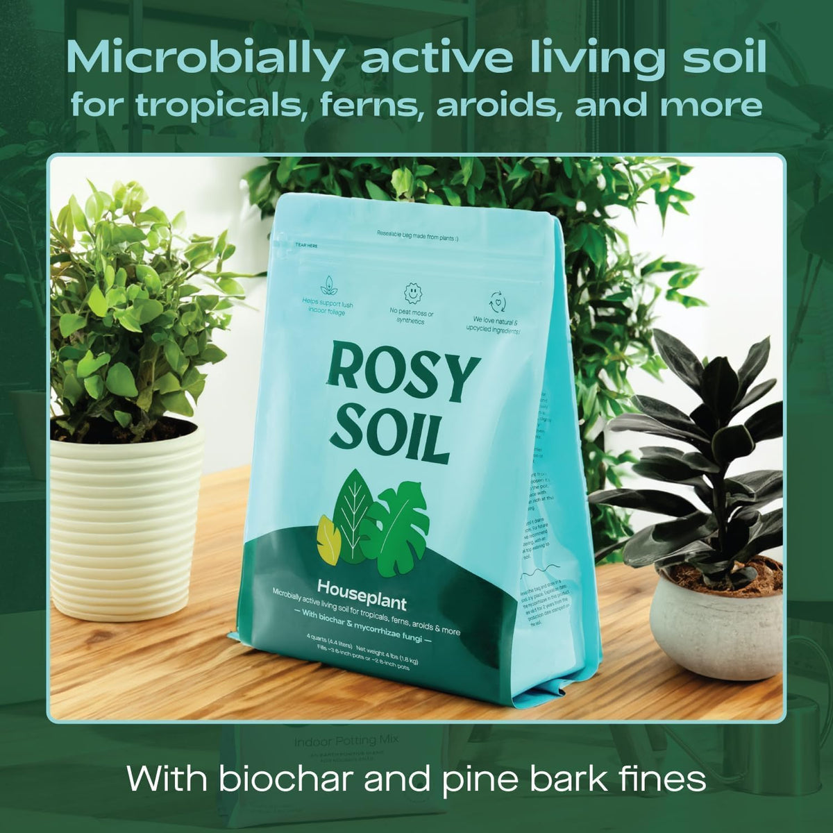 Rosy Soil Indoor Potting Soil for House Plants - Organic Potting Soil Mix for Indoor Plants