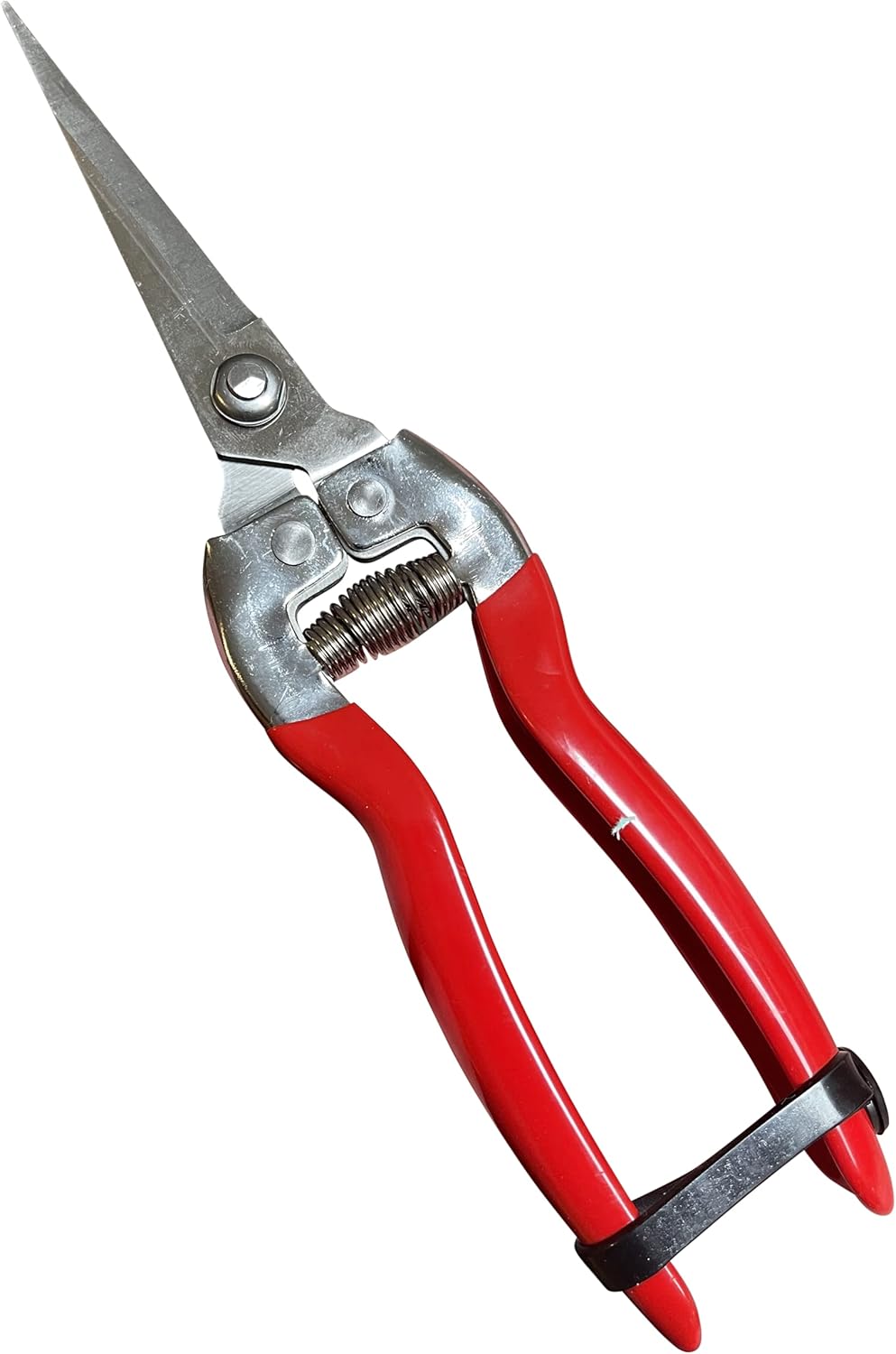 Garden Guru Straight Stainless Steel Pruner Pruning Shears Clippers Snips – Sharp Bonsai Cutter