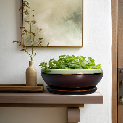 SQOWL Succulent Planters 10 Inch - Ceramic Bonsai Pots with Drainage Hole and Saucer, Shallow