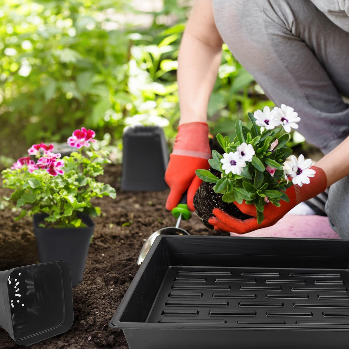 3.5 inch (9CM) Square Nursery Pots 60pcs, Sturdy Seedlings Trays 5 Pcs, Seeds Starter Germination