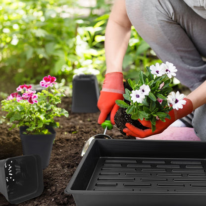 3.5 inch (9CM) Square Nursery Pots 60pcs, Sturdy Seedlings Trays 5 Pcs, Seeds Starter Germination