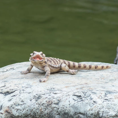 Garden Lizard Statue - Resin Sculpture of Reptiles, Suitable for Outdoor and Courtyard Decoration