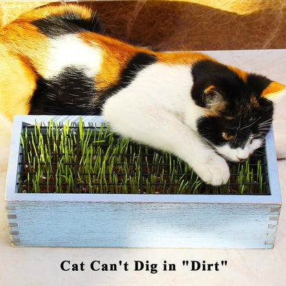 Wooden Cat Grass Planter (no Seeds Included) with Potting Soil Disks, Anti-Digging Grid and