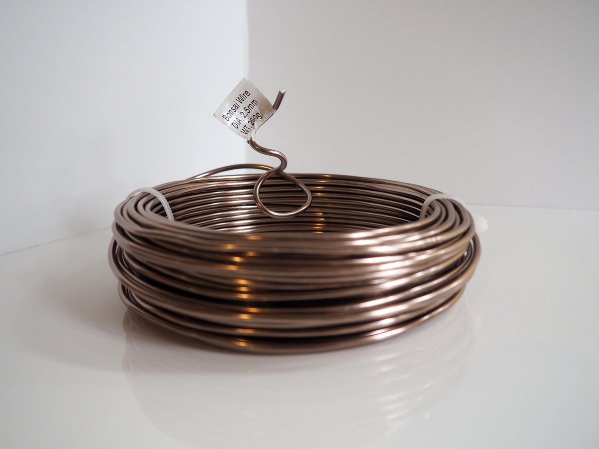 Anodized Aluminum 2.5mm Bonsai Training Wire 250g Large Roll (60 feet) - Choose Your Size and Color
