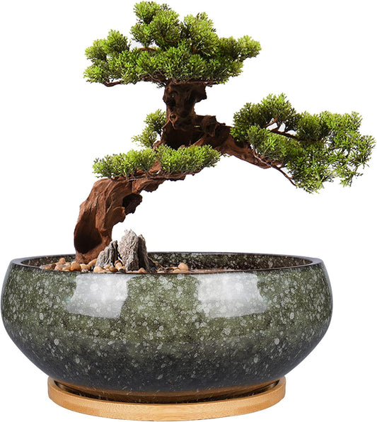 8 Inch Ceramic Bonsai Planter Pot, Glazed Shallow Succulent Planter with Drainage Hole and Bamboo