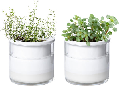 Phoenix Vine 4 Inch Self Watering Planter Pot, Design White Terracotta Pots for Plants, Indoor