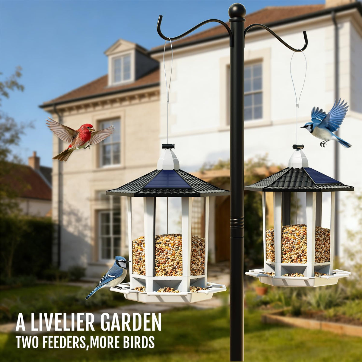 Birdream 2 Pack Solar Bird Feeders for Outdoors Hanging, Assembly Required, 1-Min Easy Setup, Wild
