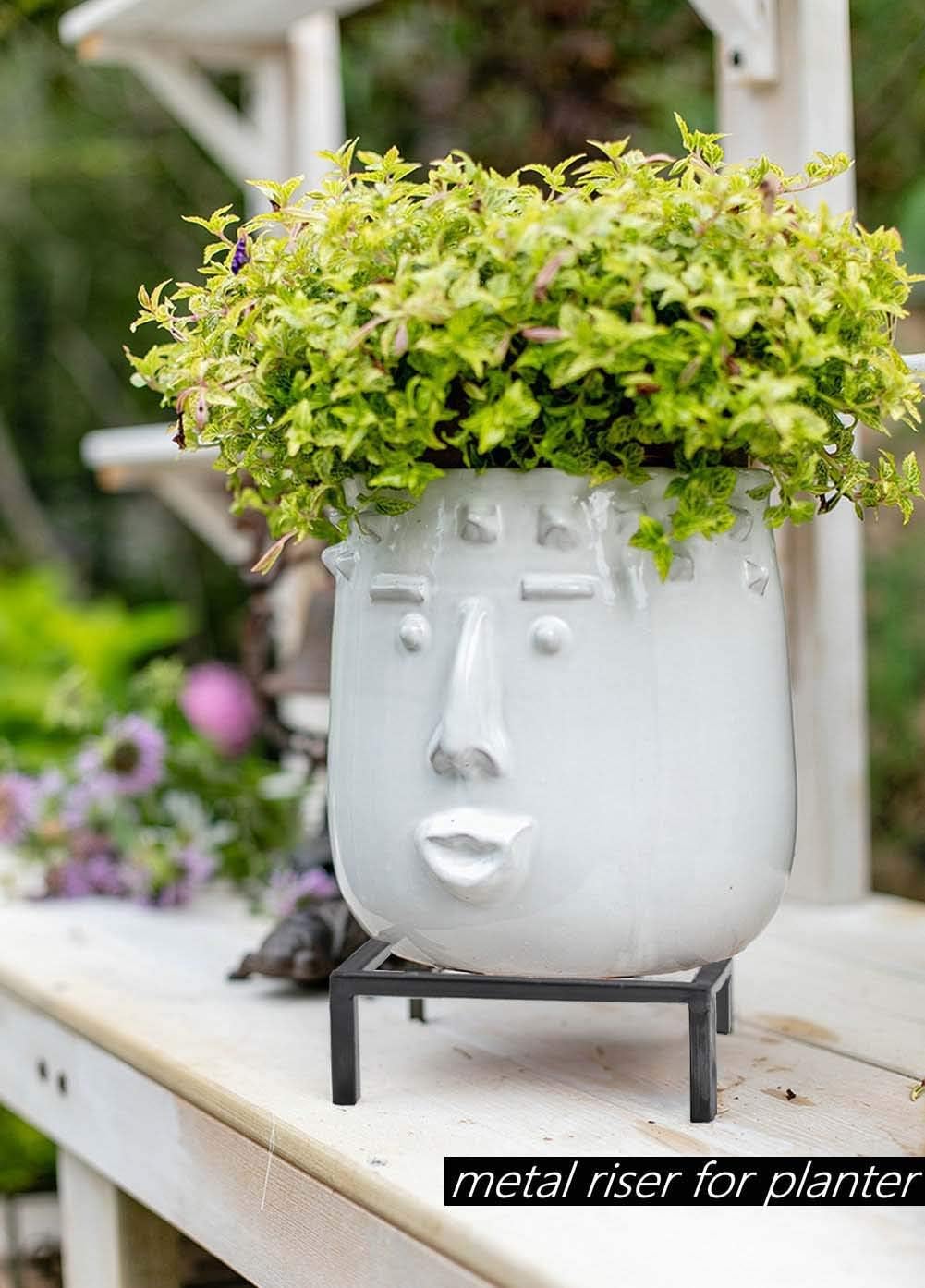 9.8" Metal Heavy Duty Potted Plant Stand Flower Pot Holder with Saucer Indoor Outdoor Rustproof