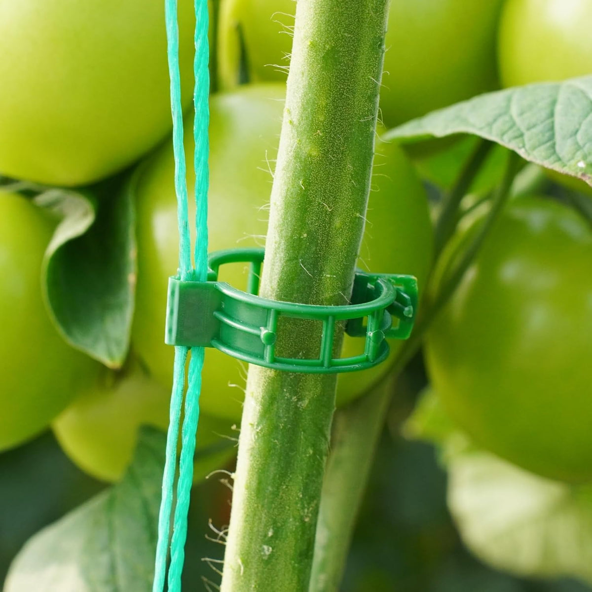 100 Pcs Plant Support Clips,Plastic Clips for Securing Plants,Tomato Vine Clips,Plant Fixing
