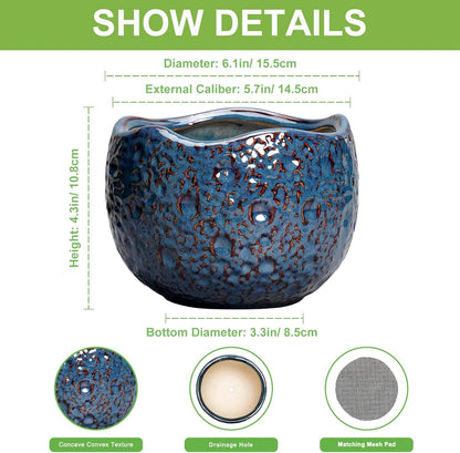 6 Inch Plant Pot - Ceramic Pots for Plants with Drainage Hole, Round Orchid Pot, Unique Planter for