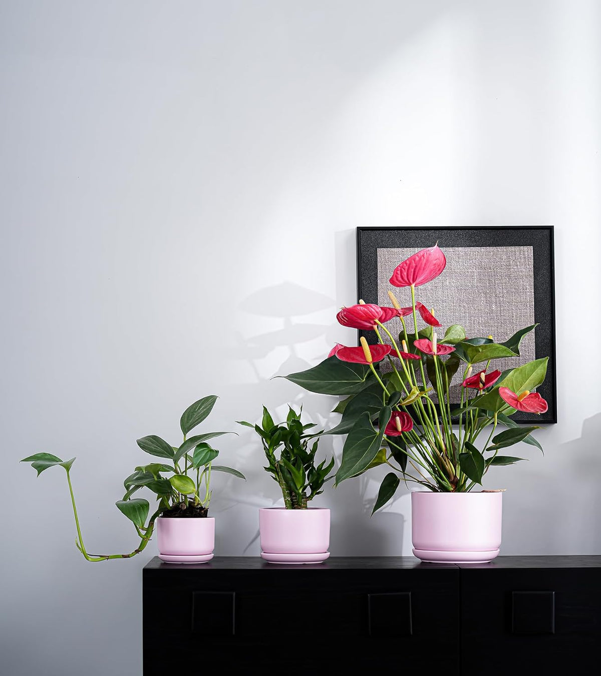 Ton Sin Plant Pots, 4.1+5.1+6.5 inch, Set of 3, Ceramic Planters with Drainage Hole and Saucer