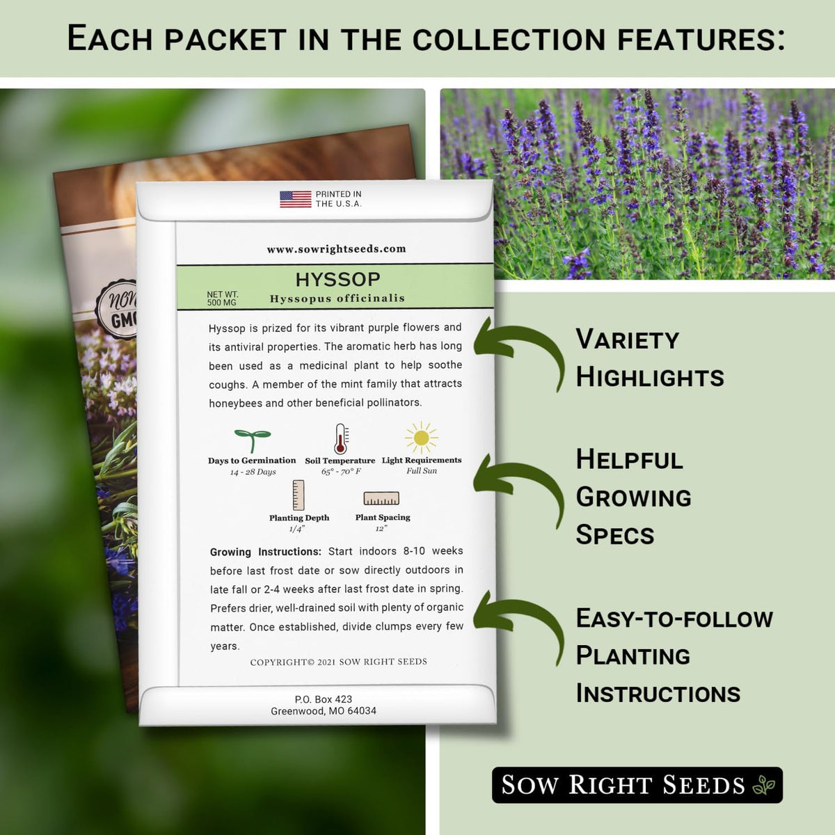 Sow Right Seeds - Large Herbal Tea Garden Seed Collection for Planting - Lemon Balm, Mint