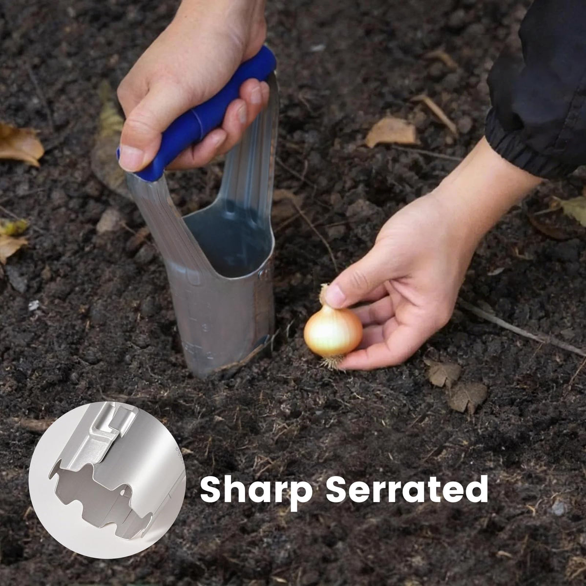 XVBITOR Bulb Planter Tool, Bulb Transplanter with Bend Free