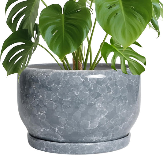 SQOWL Ceramic Pot for Plants - 10 Inch Plant Pot Indoor with Drainage Hole and Saucer, Round