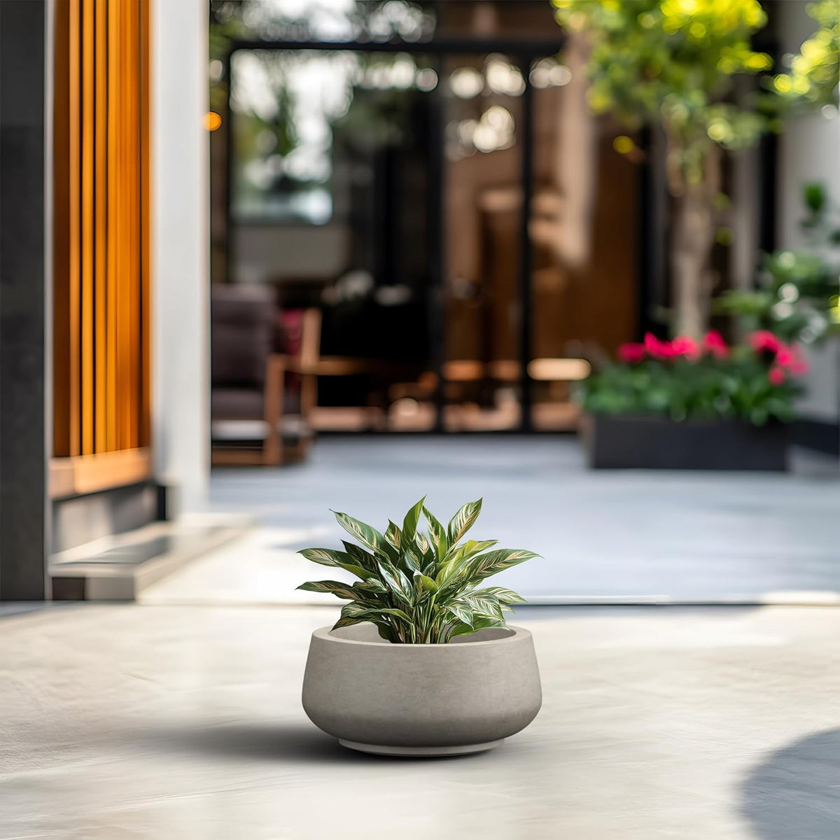 Kante 12.5" Dia Round Concrete Bonsai Planters, Outdoor Indoor Garden Plant Pot with Drainage Hole