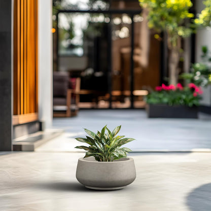 Kante 12.5" Dia Round Concrete Bonsai Planters, Outdoor Indoor Garden Plant Pot with Drainage Hole