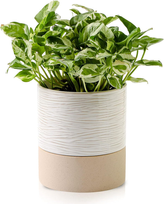 Nihow Self Watering Plant Pot: 6 Inch Ceramic Planter with Drainage Hole & Water Storage Plus for