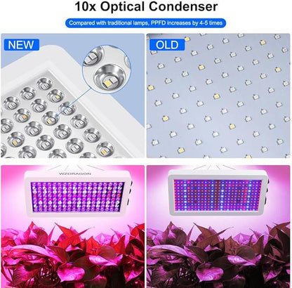 2024 Upgraded BW2000 LED Grow Lights Double Chips Full Spectrum with 10ft Cable for Greenhouse and