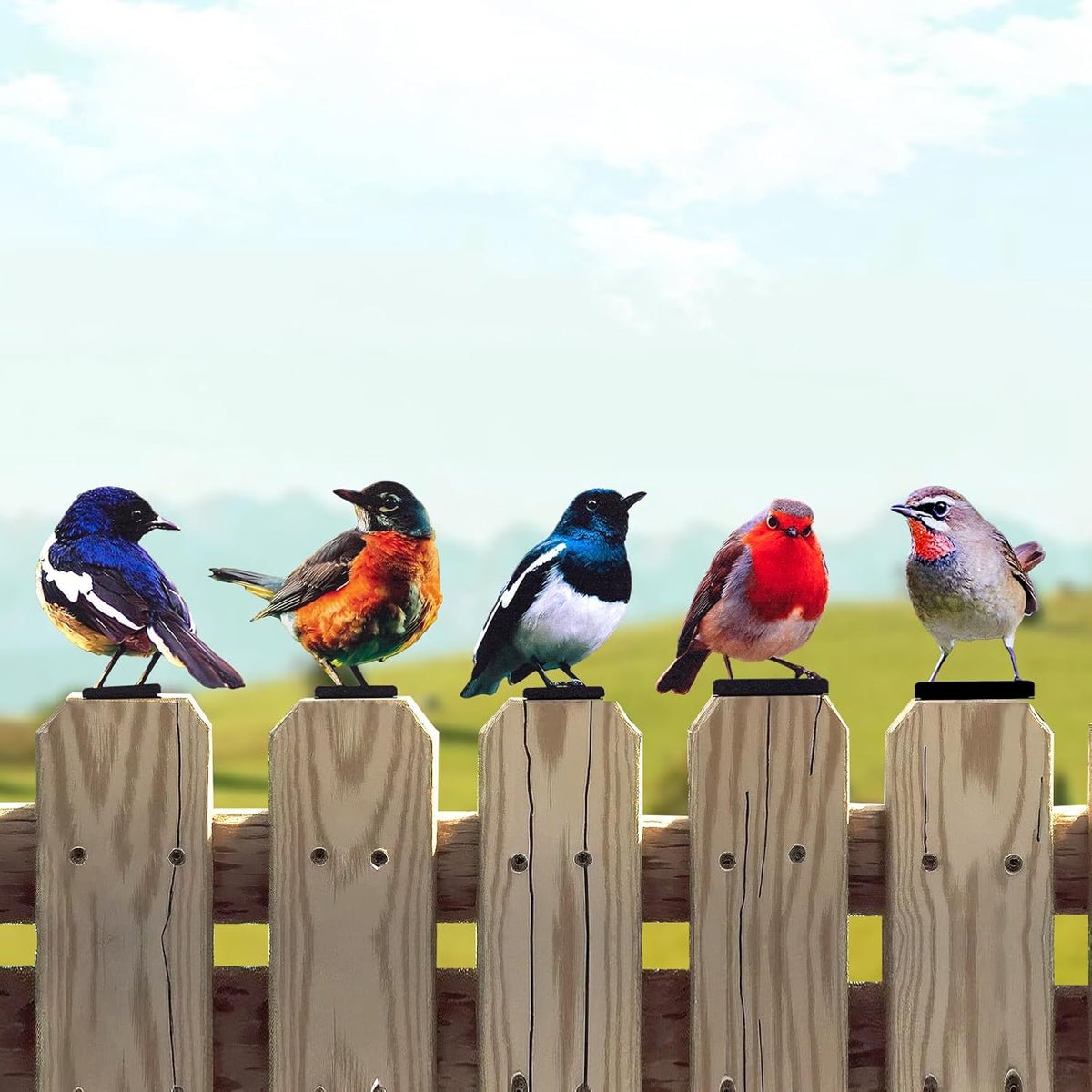 HUYIENO 5PCS Vivid Metal Birds Fence Decor Color Painted Outdoor Garden Natural Bird 2D Sculptures
