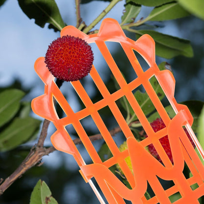 2pcs Fruit Picker Tool Basket Jujube and Pomegranate Harvesting Tool for Garden Telescoping Fruit