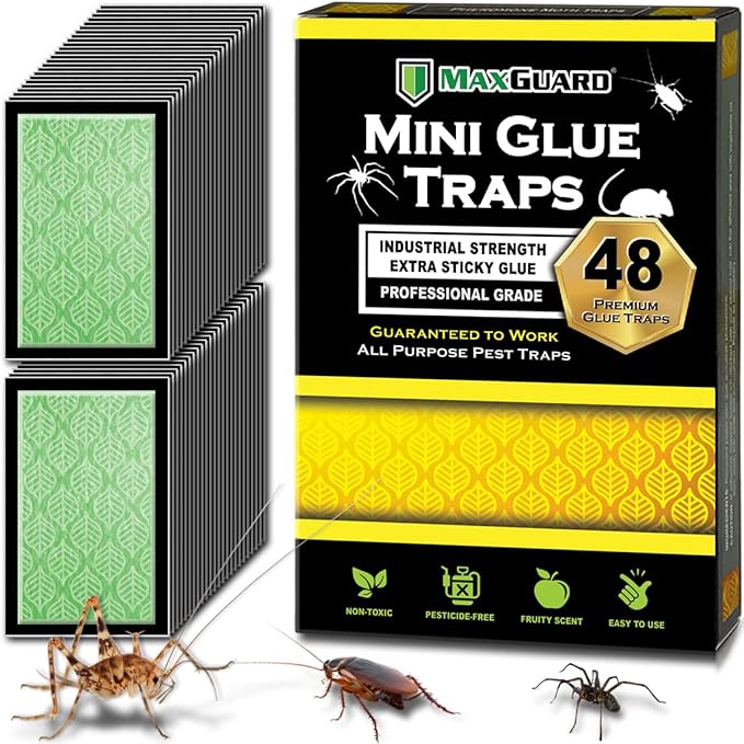 MaxGuard Mini Glue Traps (48 Traps) Non-Toxic Extra Sticky Glue Board Pre-Baited with Fruity Scent
