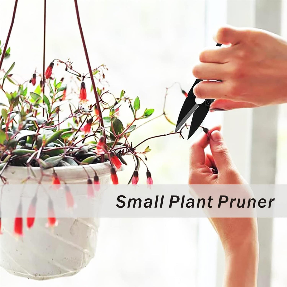 JINJIAN Bonsai Pruning Scissors 12PCS - Small Pruner Shears Bud Leaves Trimmer Garden Shears for