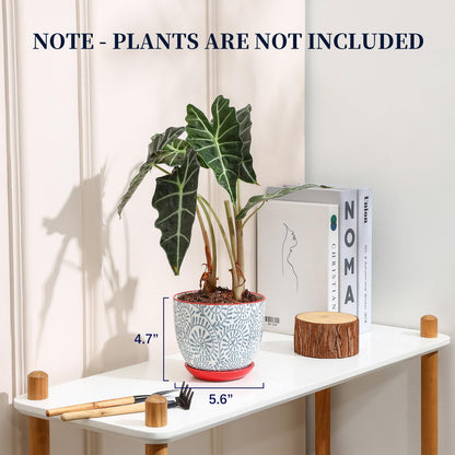Selamica Ceramic Plant Pots, 5.6 Inch Flower Pots for Indoor Plants, Planters with Drainage Hole