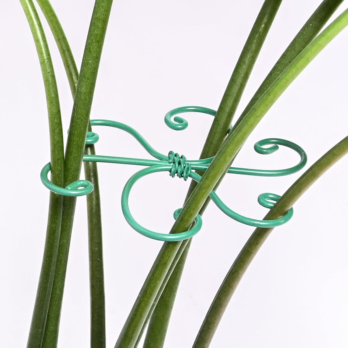 5PCS Monstera Plant Support Hook - 4.1 * 4.4IN, Durable Flexible Stabilizers for Indoor Plants