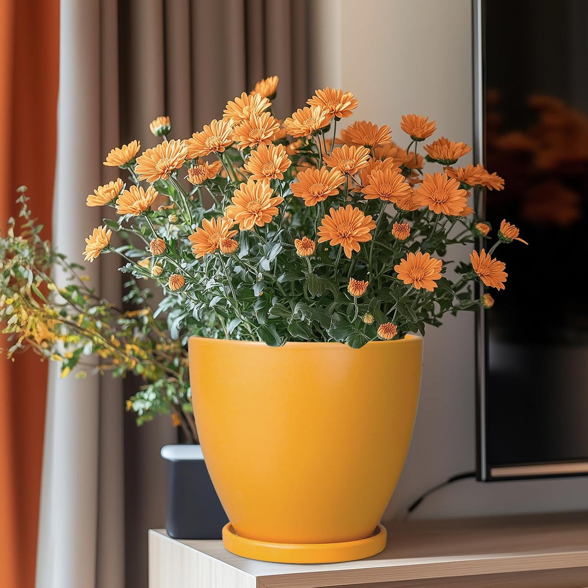 Ceramic Plant Pot - 8 Inch Planter for Indoor Outdoor Plants, Round Flower Pots with Drainage and