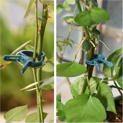 Plant Support Clips, 80 PCS Gentle Flower Plant Clamps for Supporting Vine Climbing Plants