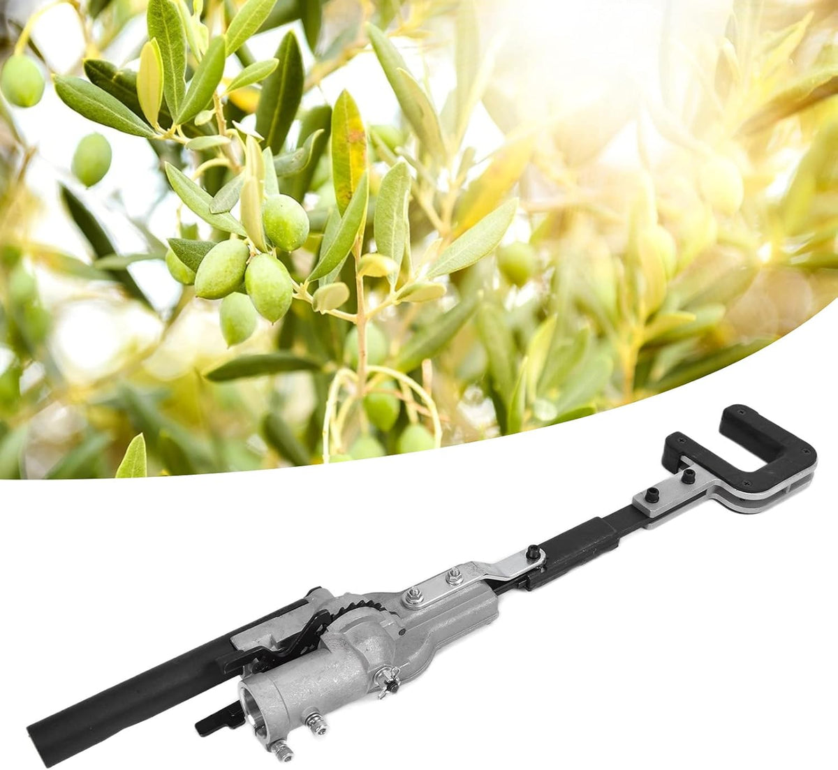 Septpenta 26MM Fruit Picker Head, Efficiently and Quickly Pick from High Places, 9 Teeth Aluminium