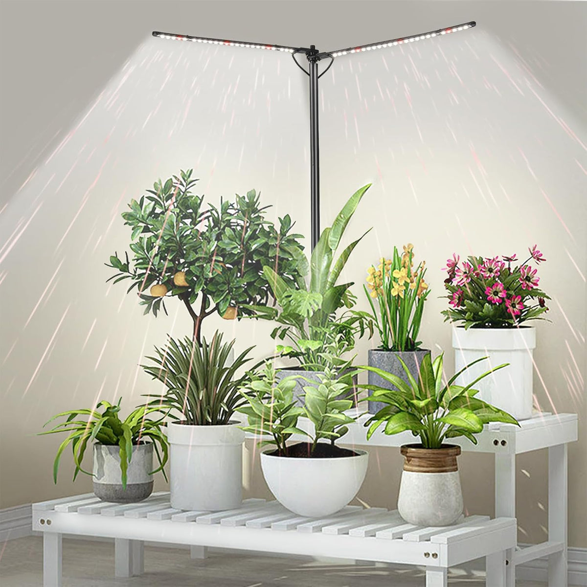 Plant Grow Lights for Indoor Plants Full Spectrum with 3/6/9H Timer & Dimming, Slim Plant Lights