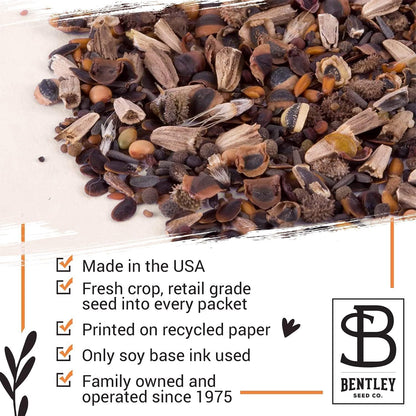 Bentley Seed Co. | Bee Kind Planet | Illustrated Bee Flower Seed Packets | Help Pollinators