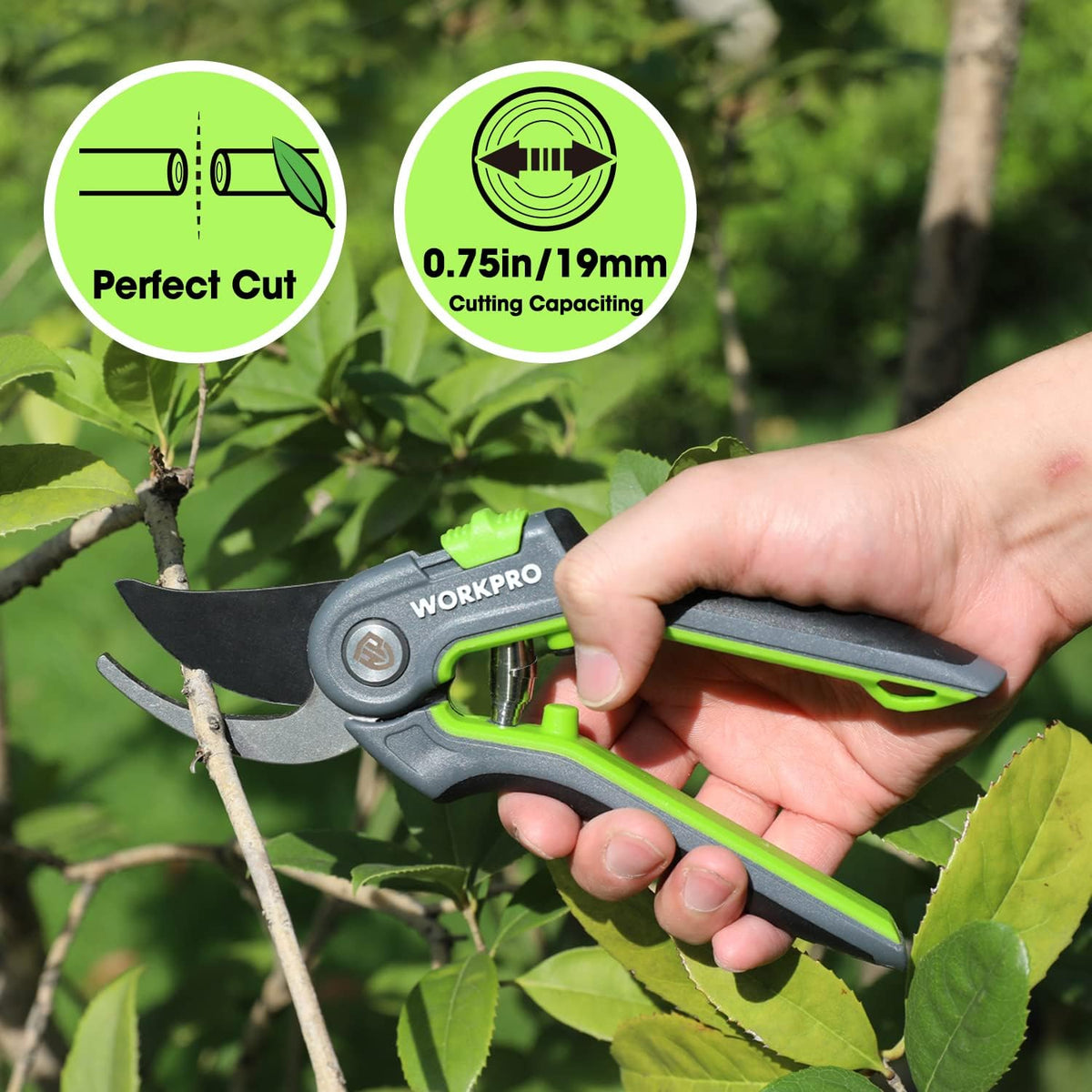 WORKPRO Bypass Pruning Shears, 8’’ Stainless Steel Gardening Hand Pruner, Professional Garden