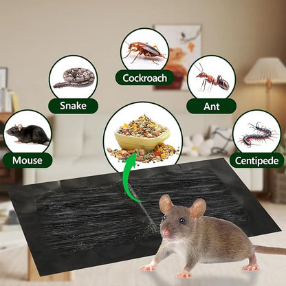 10 Pack Sticky Mouse Traps,Clear Mouse Glue Trap Sticky Traps That Work for Mice and Rats