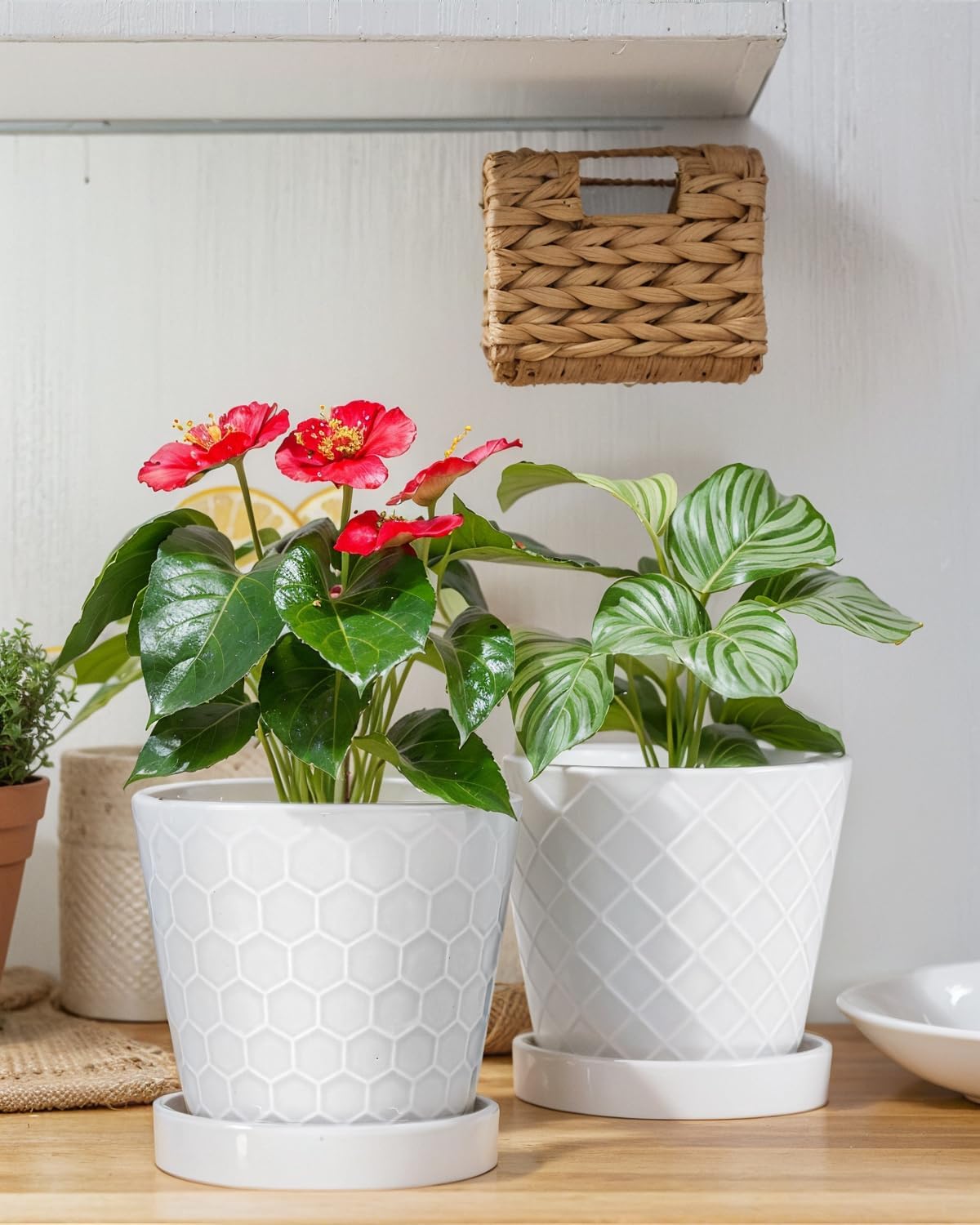 EFISPSS Flower Planter –5 inch Ceramic Plant Pots with Drainage Holes and Ceramic Tray - Gardening